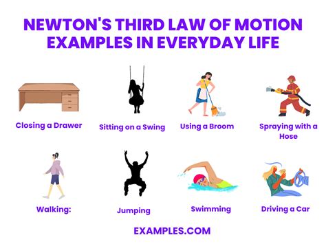Law of The Third.